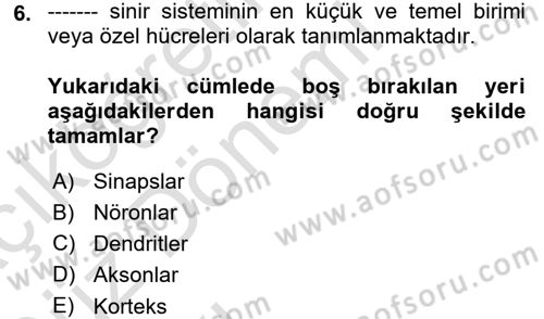 Engelli Psikolojisi Dersi 2017 - 2018 Yılı (Vize) Ara Sınav Soruları 6. Soru