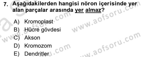 Engelli Psikolojisi Dersi 2017 - 2018 Yılı (Vize) Ara Sınav Soruları 7. Soru