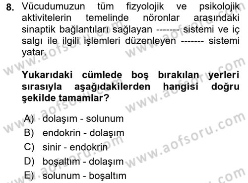 Engelli Psikolojisi Dersi 2017 - 2018 Yılı (Vize) Ara Sınav Soruları 8. Soru