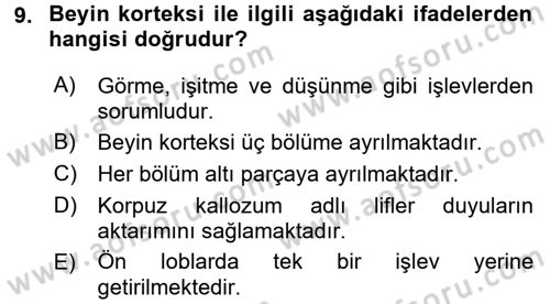 Engelli Psikolojisi Dersi 2017 - 2018 Yılı (Vize) Ara Sınav Soruları 9. Soru