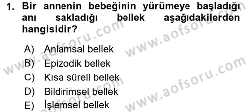 Engelli Psikolojisi Dersi 2017 - 2018 Yılı (Final) Dönem Sonu Sınav Soruları 1. Soru