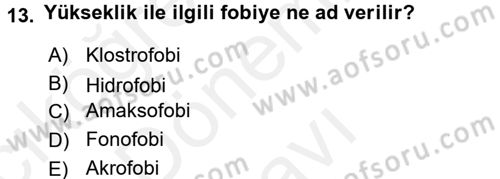 Engelli Psikolojisi Dersi 2017 - 2018 Yılı (Final) Dönem Sonu Sınav Soruları 13. Soru