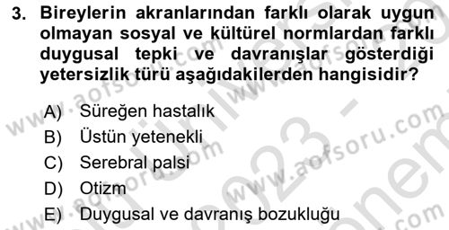 Engelli Bakımı ve Rehabilitasyonunu Planlama Dersi 2023 - 2024 Yılı (Final) Dönem Sonu Sınav Soruları 3. Soru