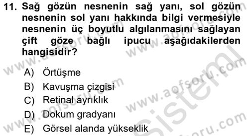 İnsan ve Davranış Dersi Ara Sınavı Deneme Sınav Soruları 11. Soru