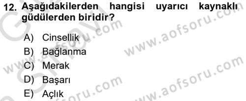 İnsan ve Davranış Dersi Ara Sınavı Deneme Sınav Soruları 12. Soru