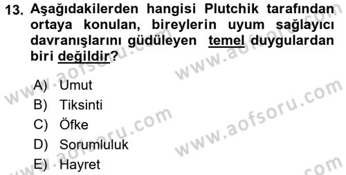 İnsan ve Davranış Dersi Ara Sınavı Deneme Sınav Soruları 13. Soru