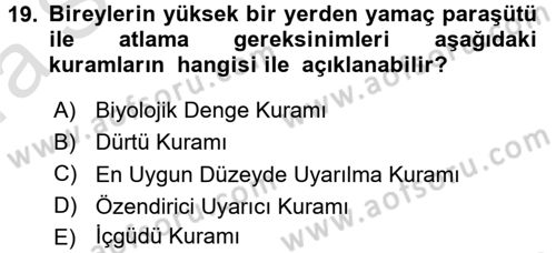 İnsan ve Davranış Dersi Ara Sınavı Deneme Sınav Soruları 19. Soru