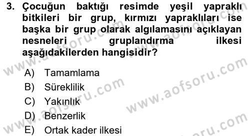 İnsan ve Davranış Dersi Ara Sınavı Deneme Sınav Soruları 3. Soru