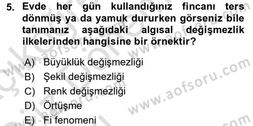 İnsan ve Davranış Dersi Ara Sınavı Deneme Sınav Soruları 5. Soru