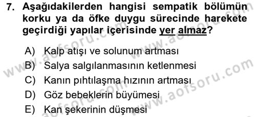 İnsan ve Davranış Dersi Ara Sınavı Deneme Sınav Soruları 7. Soru