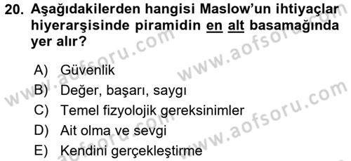 İnsan ve Davranış Dersi 2017 - 2018 Yılı (Final) Dönem Sonu Sınav Soruları 20. Soru
