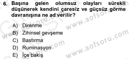 İnsan ve Davranış Dersi 2017 - 2018 Yılı (Final) Dönem Sonu Sınav Soruları 6. Soru