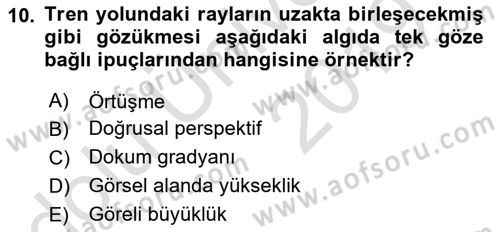 İnsan ve Davranış Dersi 2018 - 2019 Yılı 3 Ders Sınav Soruları 10. Soru