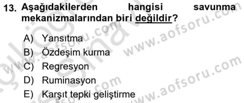 İnsan ve Davranış Dersi 2018 - 2019 Yılı 3 Ders Sınav Soruları 13. Soru