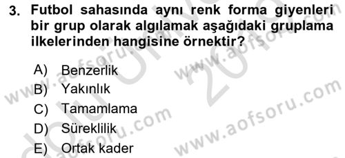 İnsan ve Davranış Dersi 2018 - 2019 Yılı 3 Ders Sınav Soruları 3. Soru