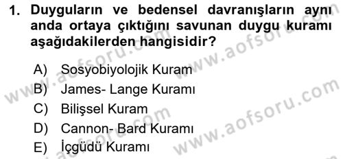 İnsan ve Davranış Dersi 2018 - 2019 Yılı (Vize) Ara Sınav Soruları 1. Soru