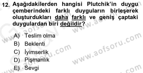 İnsan ve Davranış Dersi Ara Sınavı Deneme Sınav Soruları 12. Soru
