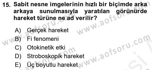 İnsan ve Davranış Dersi Ara Sınavı Deneme Sınav Soruları 15. Soru