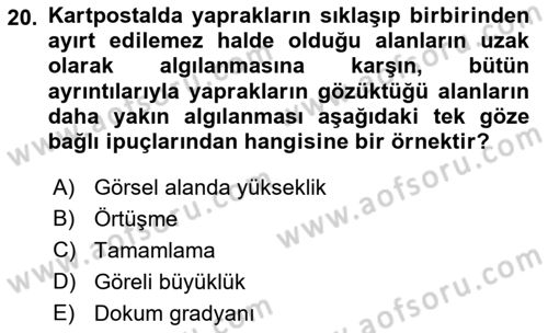 İnsan ve Davranış Dersi Ara Sınavı Deneme Sınav Soruları 20. Soru