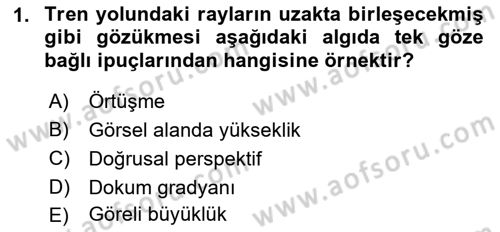 İnsan ve Davranış Dersi 2018 - 2019 Yılı (Final) Dönem Sonu Sınav Soruları 1. Soru