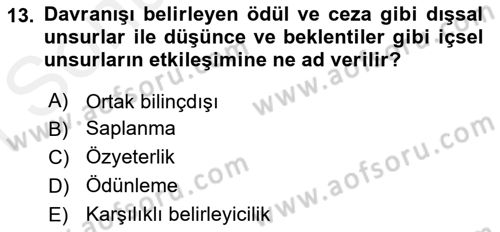 İnsan ve Davranış Dersi 2018 - 2019 Yılı (Final) Dönem Sonu Sınav Soruları 13. Soru