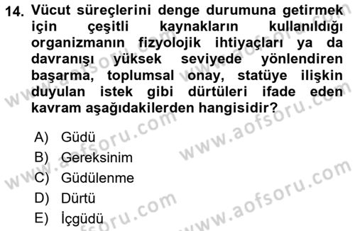 İnsan ve Davranış Dersi 2018 - 2019 Yılı (Final) Dönem Sonu Sınav Soruları 14. Soru