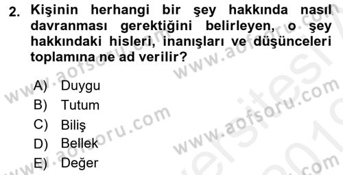 İnsan ve Davranış Dersi 2018 - 2019 Yılı (Final) Dönem Sonu Sınav Soruları 2. Soru