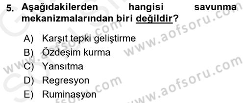 İnsan ve Davranış Dersi 2018 - 2019 Yılı (Final) Dönem Sonu Sınav Soruları 5. Soru