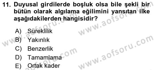 İnsan ve Davranış Dersi 2018 - 2019 Yılı Yaz Okulu Sınav Soruları 11. Soru