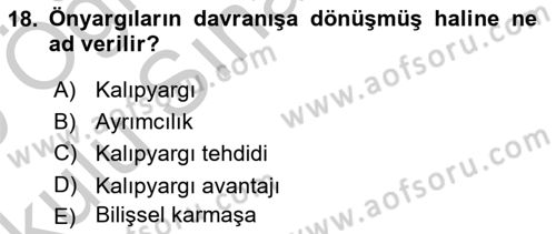 İnsan ve Davranış Dersi 2018 - 2019 Yılı Yaz Okulu Sınav Soruları 18. Soru