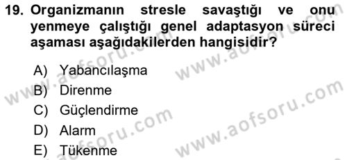İnsan ve Davranış Dersi 2018 - 2019 Yılı Yaz Okulu Sınav Soruları 19. Soru