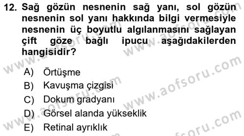 İnsan ve Davranış Dersi 2019 - 2020 Yılı (Vize) Ara Sınavı 12. Soru