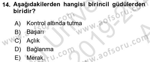 İnsan ve Davranış Dersi 2019 - 2020 Yılı (Vize) Ara Sınavı 14. Soru