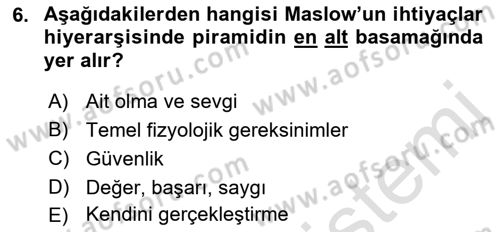 İnsan ve Davranış Dersi 2019 - 2020 Yılı (Vize) Ara Sınavı 6. Soru