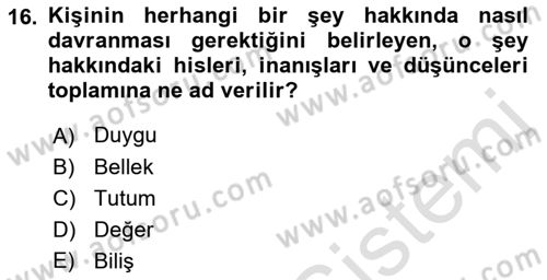 İnsan ve Davranış Dersi 2019 - 2020 Yılı (Final) Dönem Sonu Sınav Soruları 16. Soru
