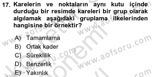 İnsan ve Davranış Dersi 2019 - 2020 Yılı (Final) Dönem Sonu Sınav Soruları 17. Soru