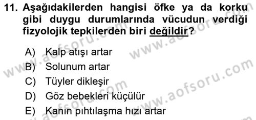 İnsan ve Davranış Dersi 2020 - 2021 Yılı Yaz Okulu Sınav Soruları 11. Soru