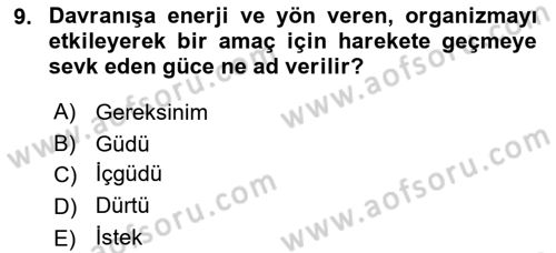 İnsan ve Davranış Dersi 2020 - 2021 Yılı Yaz Okulu Sınav Soruları 9. Soru