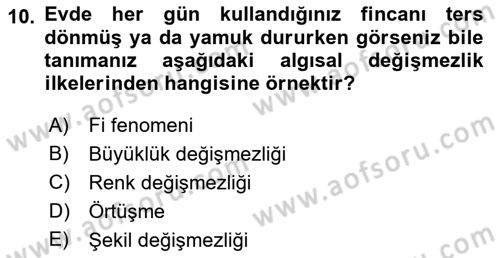İnsan ve Davranış Dersi Ara Sınavı Deneme Sınav Soruları 10. Soru
