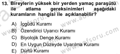 İnsan ve Davranış Dersi Ara Sınavı Deneme Sınav Soruları 13. Soru