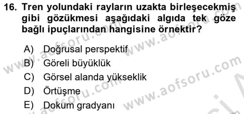 İnsan ve Davranış Dersi Ara Sınavı Deneme Sınav Soruları 16. Soru