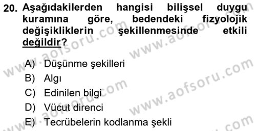 İnsan ve Davranış Dersi Ara Sınavı Deneme Sınav Soruları 20. Soru