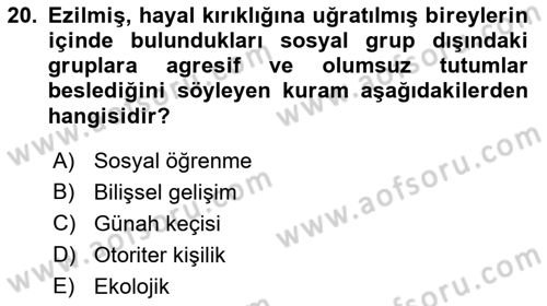 İnsan ve Davranış Dersi 2021 - 2022 Yılı (Final) Dönem Sonu Sınav Soruları 20. Soru