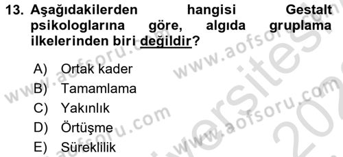 İnsan ve Davranış Dersi 2021 - 2022 Yılı Yaz Okulu Sınav Soruları 13. Soru
