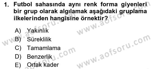 İnsan ve Davranış Dersi Ara Sınavı Deneme Sınav Soruları 1. Soru