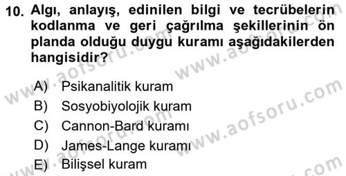 İnsan ve Davranış Dersi Ara Sınavı Deneme Sınav Soruları 10. Soru