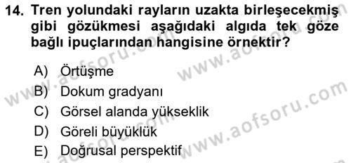 İnsan ve Davranış Dersi 2022 - 2023 Yılı (Vize) Ara Sınav Soruları 14. Soru