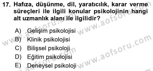 İnsan ve Davranış Dersi Ara Sınavı Deneme Sınav Soruları 17. Soru