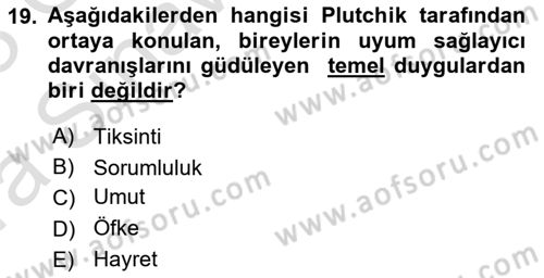 İnsan ve Davranış Dersi Ara Sınavı Deneme Sınav Soruları 19. Soru