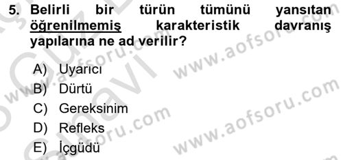 İnsan ve Davranış Dersi 2022 - 2023 Yılı (Vize) Ara Sınav Soruları 5. Soru